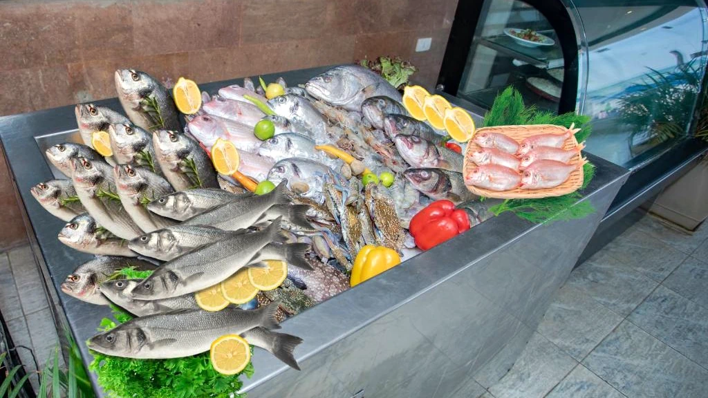 الفندق إيليت ريزيدنس تيوليب ريزورت - العين السخنة